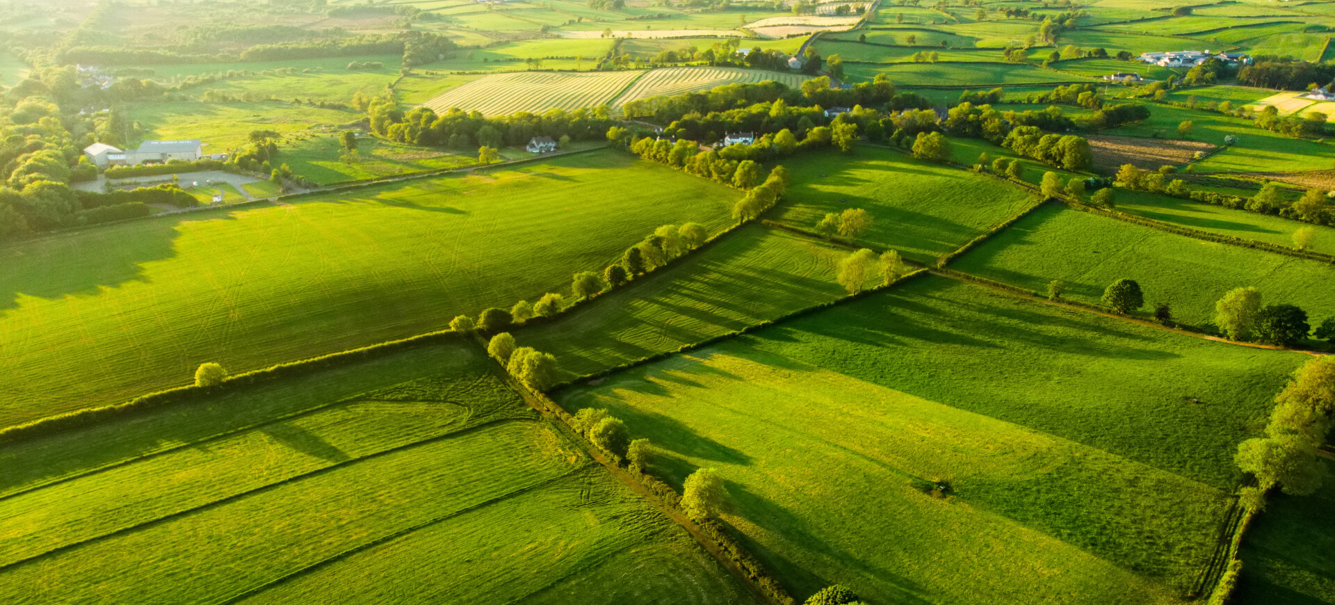 Aerial photograph of green fields